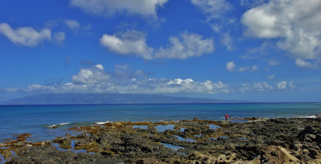 Condos At Napili Point Lahaina Exteriör bild